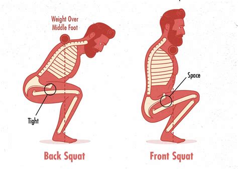 Squat Depth Diagram