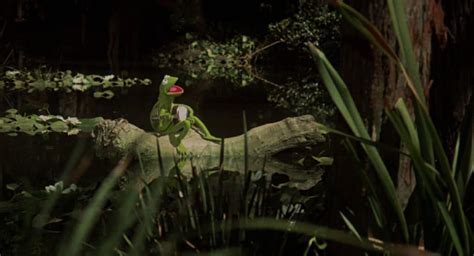 Kermit the Frog sings The Rainbow Connection (1979) – The Kid Should See This