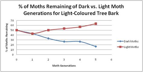 Peppered Moth Graph