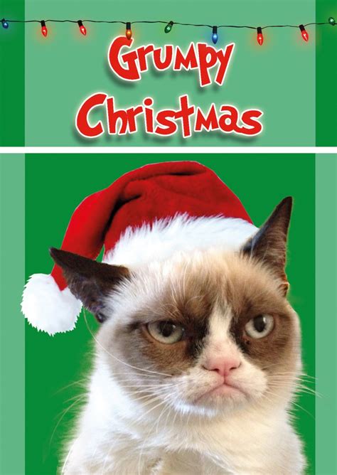 10 best images about Grumpy Cat on Pinterest | Cats, Everything and Grumpy face