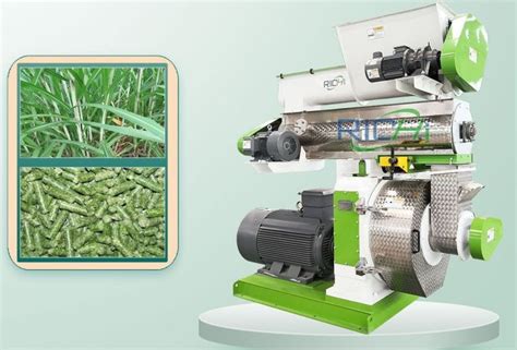 CE Verified 0.6-20T/H Dry Wet Grass Pellet Machine For Sale