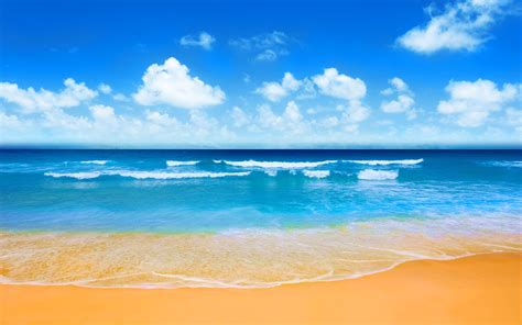 Download Summer Horizon Nature Beach 8k Ultra HD Wallpaper