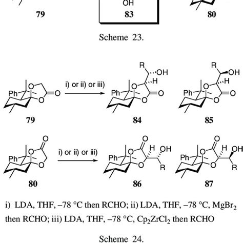 Alkylation of Camphor Sulfonamide Derivatives | Download Table