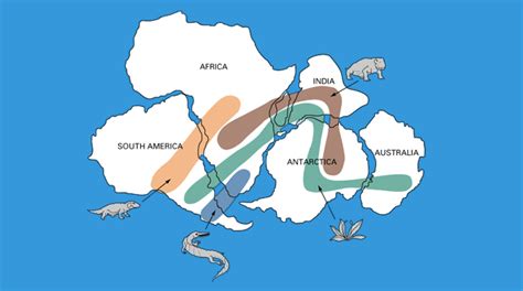 Pangea Fossils: Evidence of the Pangaea Supercontinent - Earth How