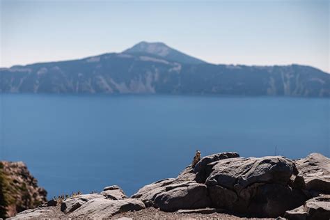 Best Things to do at Crater Lake National Park » Our Wild Wanderers