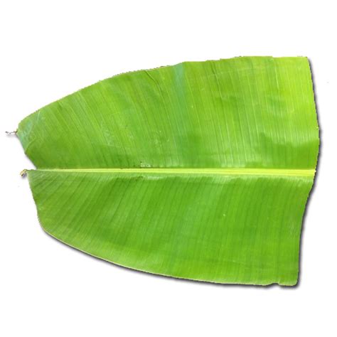 Banana Leaves - Al Rizq Trading