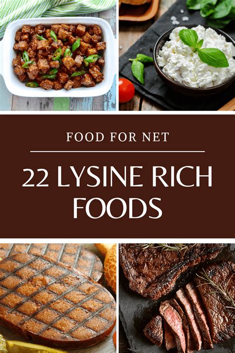 22 Lysine Rich Foods That You Can Eat Regularly | Food For Net