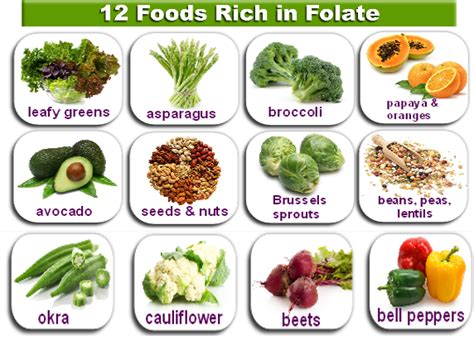 Folic Acid During Pregnancy - Top Folate Foods for Pregnancy - Test Blog