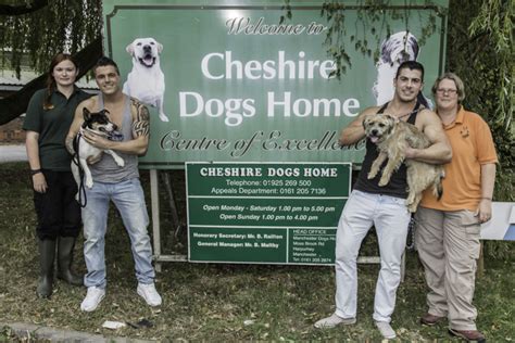 Press Photography: Cheshire Dogs Home Appeal | Simon J. Newbury Photography