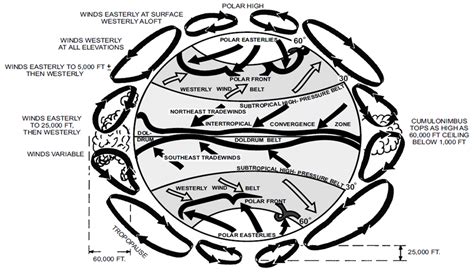 Atmospheric Circulation System - Global Temperatures and Atmospheric Circulation