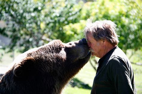 Bart the Bear 2 - Wasatch Rocky Mountain Wildlife