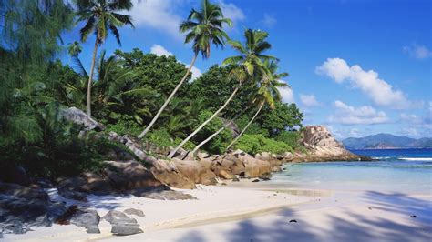 Praslin Island Vacation Packages 2024 from $1,060 | Expedia