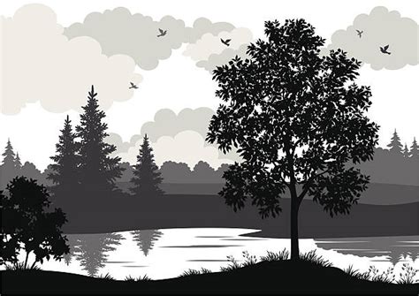 Best Black And White Landscape Illustrations, Royalty-Free Vector Graphics & Clip Art - iStock