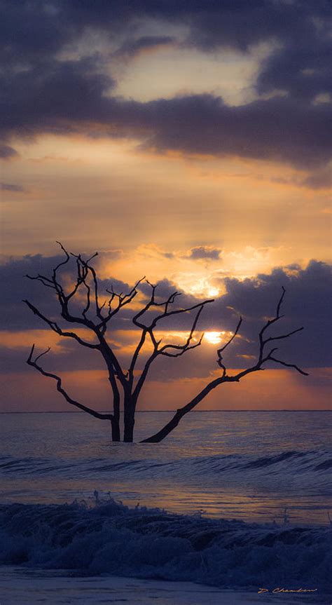 Botany Bay Sunrise Photograph by Doug Chambers - Fine Art America