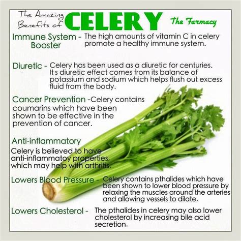 Celery - Are You Ready for a Change?