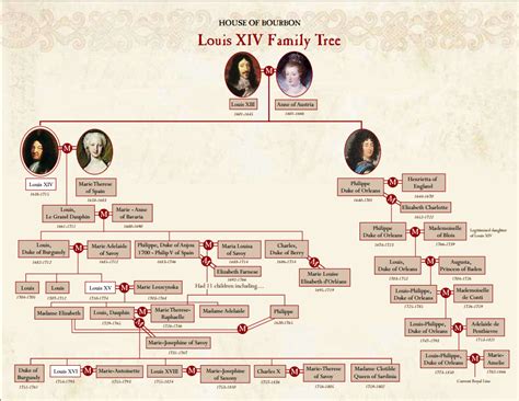 Louis XIV Family Tree