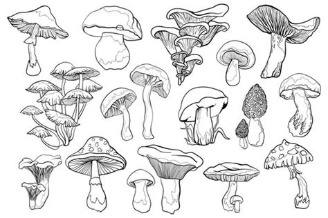 Cool Mushrooms Drawings