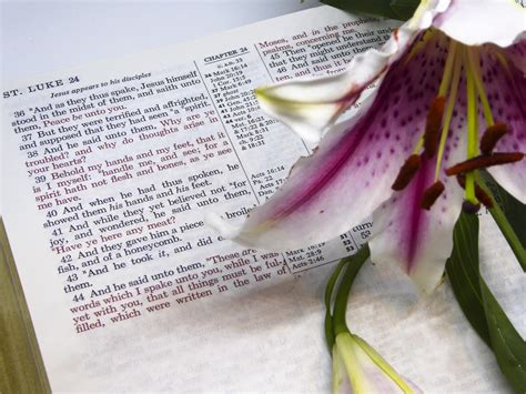 Luke 24 Easter Scripture Free Stock Photo - Public Domain Pictures