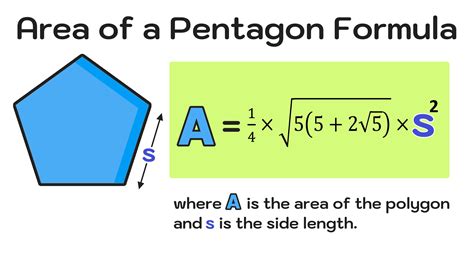 Area of a Pentagon Calculator — Mashup Math