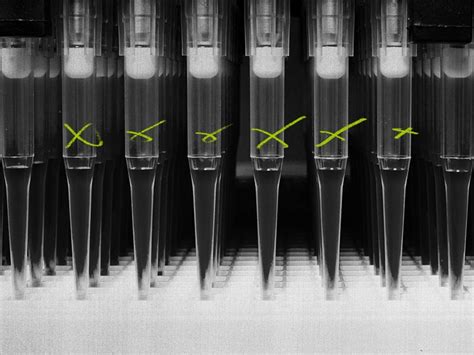 Molecular testing: How it works, types, and more