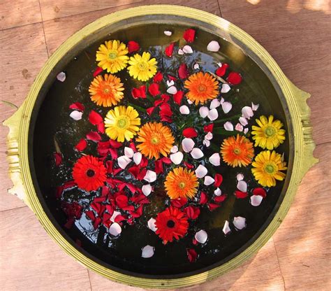 Stock Pictures: Flower Arrangement in pots