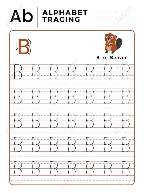 Trace Letter B Worksheets Preschool - TracingLettersWorksheets.com