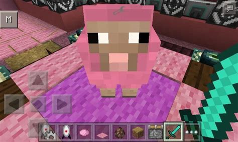 Everything About Finding And Breeding Pink Sheep In Minecraft