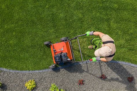 Top Environmentally Friendly Ways To Take Care Of Your Lawn