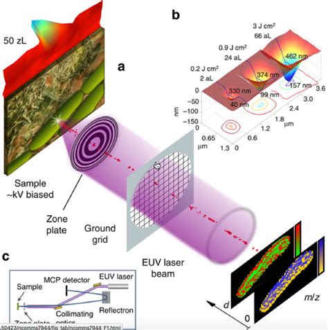 New mass spectral imaging instrument maps cells’ composition in 3-D at more than 100 times ...