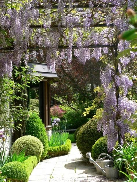 wisteria on the pergola... | My BIG Five-Oh! | Pinterest