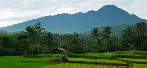 Mount Salak Volcano in Indonesia Mount Salak is an eroded volcano in West Java, Indonesia. It ...