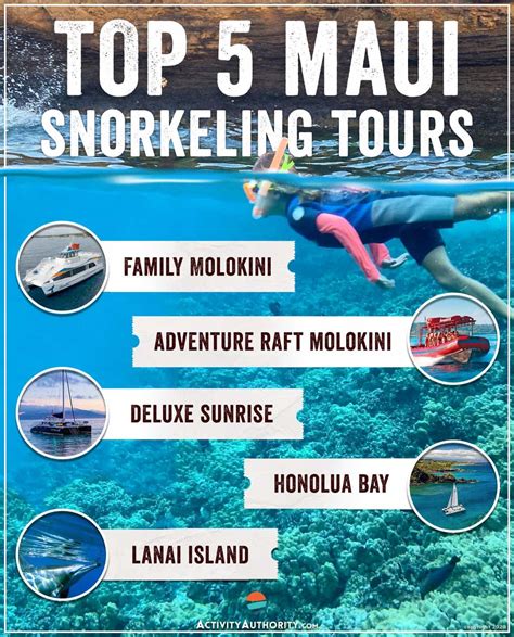 Top 5 Maui Snorkeling Tours - Lahaina, Maalaea, Makena, Lanai