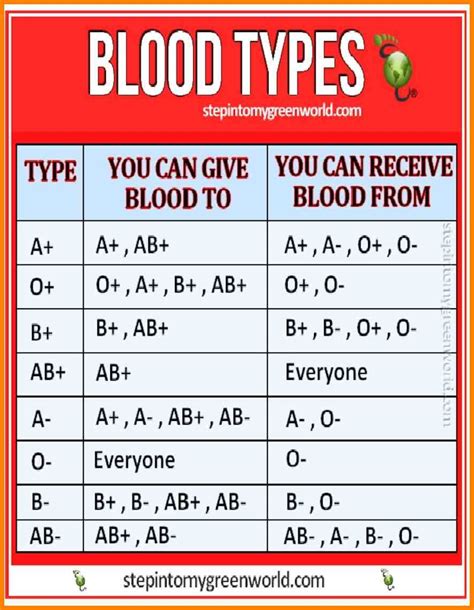 Blood Types List - Blood Type Info