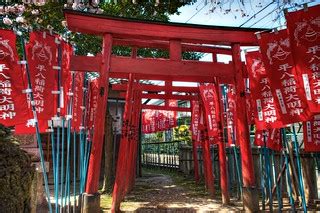 Sakura Over Torii Gates | Sometimes Okazaki reminds me of Ky… | Flickr