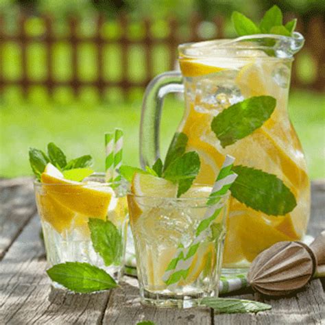 Lemon Mint Juice Recipe: How to Make Lemon Mint Juice