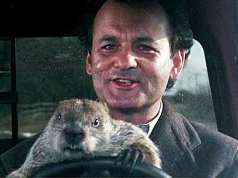 10 Life Lessons You Can Learn from Groundhog Day | Groundhog day movie, Groundhog day, Groundhog