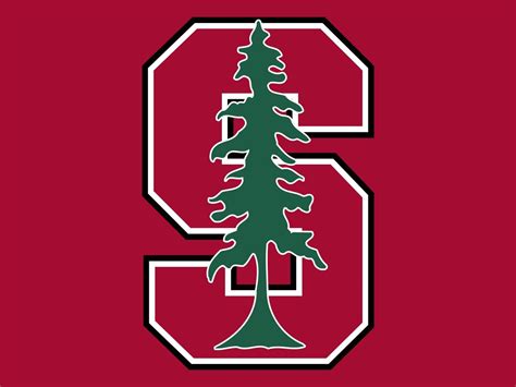 Stanford | Stanford university, Stanford tree, Stanford logo
