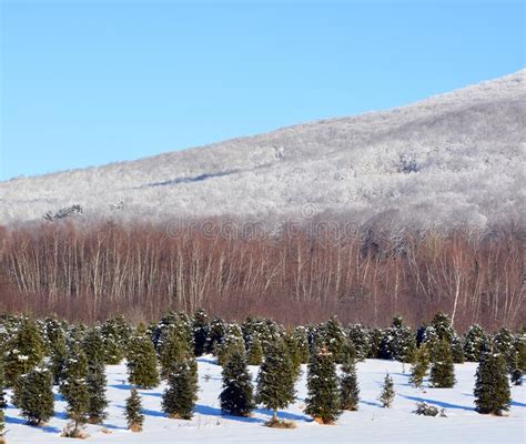 Winter Landscape and Typical Canadian House Stock Photo - Image of ...