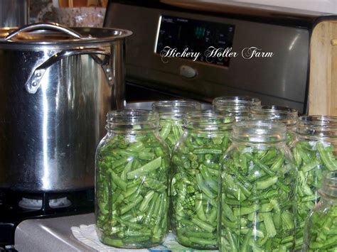 Hickery Holler Farm: Canning Green Beans