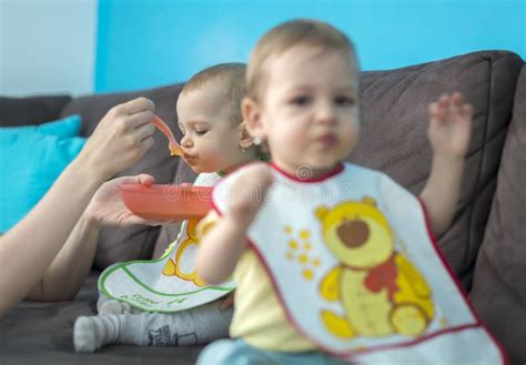 Feeding little baby twins stock photo. Image of hungry - 109208076