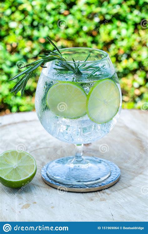 Gin and Tonic Cocktail with Lime and Rosemary Stock Photo - Image of ...