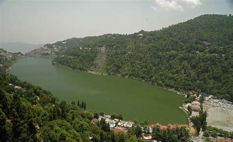 Nainital lake view with greenery | Nainital, Tourism, Tourist places