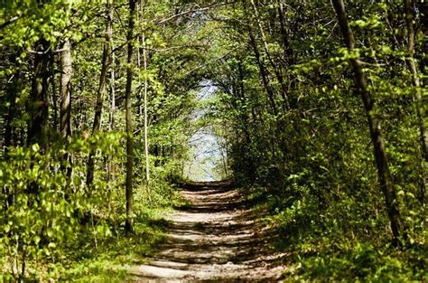 13 easy hiking trails in the Finger Lakes: See waterfalls, creeks, more - newyorkupstate.com