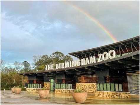 Birmingham Zoo: A Place of Wild Wonders and Conservation - Touristry Blog