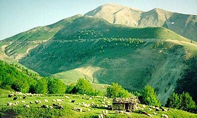 Elburz Range forest steppe | Shah Moallem, Alborz Mountains,… | Flickr