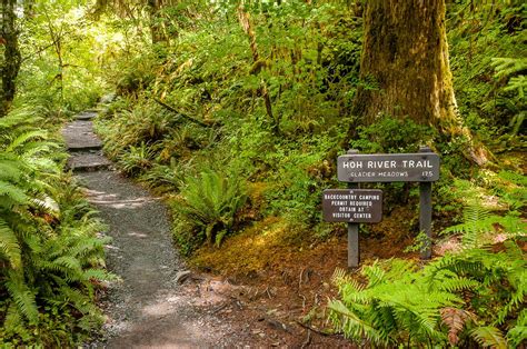 19 Best Hikes in Olympic National Park For 2023 – Goelitetravel