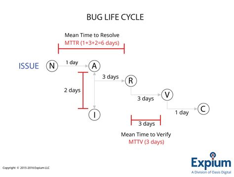 Life Cycle Of Water Bug