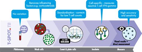 How does the T-SPOT.TB test deliver consistent results