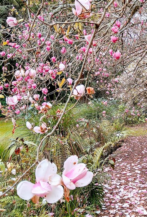 Katikati Bird Gardens - Home | Facebook