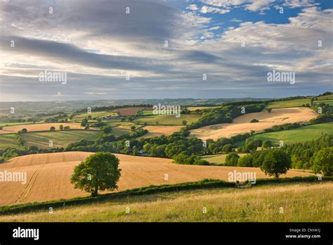 Beautiful rolling Devon countryside beneath a gorgeous sky, Raddon Hill ...